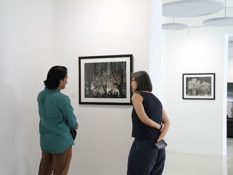 Meet the Photographer workshop